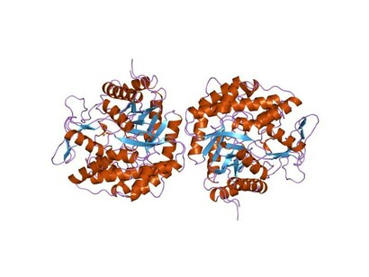 Structure moléculaire d’une protéine (1va6), exemple des avancées en biologie moléculaire amorcées par les travaux de Jacob et Monod