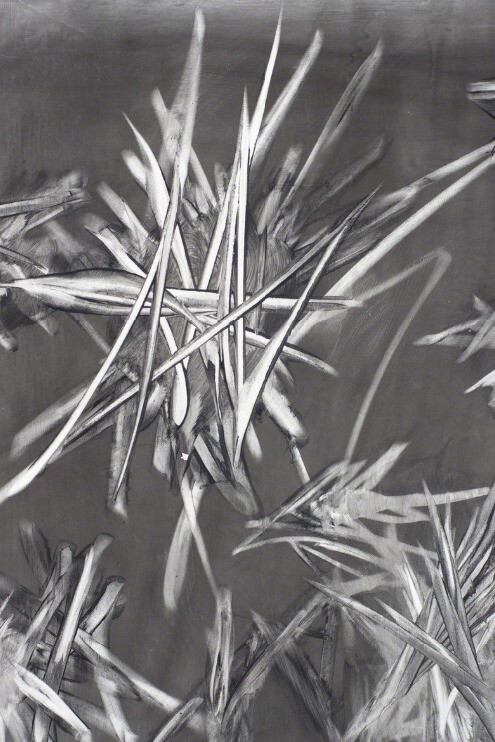 Mark me. Courtesy of Cross Contemporary Art