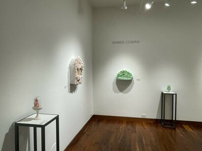 Amber Cowan, exhibition view. Courtesy of Momentum Gallery