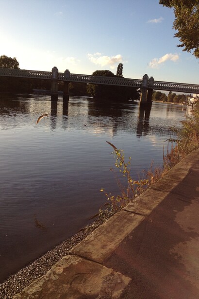 Chiswick, the Thames River.