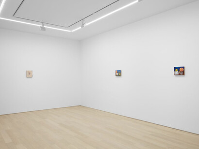 Michael Hilsman. Courtesy of Almine Rech Gallery