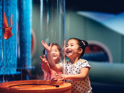Ground up, building big ideas, together, exhibition view. Courtesy of Scienceworks