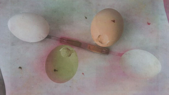 Wolfgang Tillmans. Courtesy of WIELS