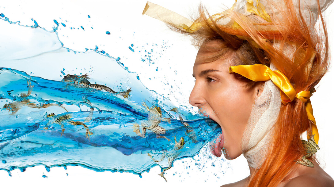 Heinz Schattner, Frog 58x28,3cm Hahnemuehle Barytata