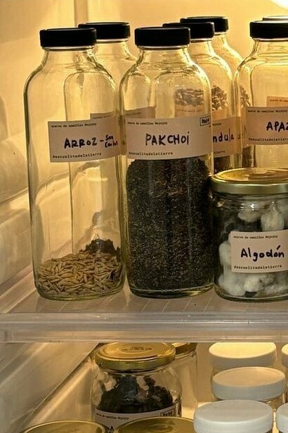 Archivo de semillas en refrigeración, parte de la exhibición "Tierra Maestra" de Mariela Richmond