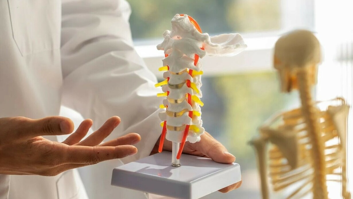 A polilaminina é uma proteína associada à matriz extracelular, com papel relevante na organização e na regeneração de tecidos. Pesquisas conduzidas no âmbito acadêmico indicam que ela pode favorecer a reconexão de fibras nervosas interrompidas após um trauma na medula espinhal, estrutura responsável pela transmissão de impulsos nervosos entre o cérebro e o restante do corpo. Lesões nessa região, especialmente quando classificadas como graves, costumam resultar em perda permanente de movimentos e sensibilidade abaixo do nível afetado
