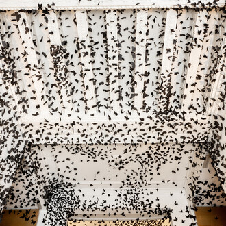Carlos Amorales, Nube negra, vista de exhibición. Cortesía de la Fundación Casa de México en España