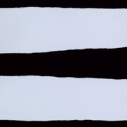 Edgar Martins. Courtesy of Purdy Hicks Gallery