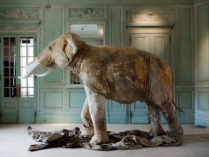 Huang Yong Ping. Elefante con piel de búfalo y estructura de acero. 2002