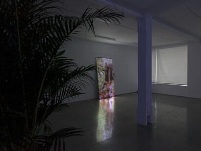 Gabriel Lester, installation view of If you happen to be, Courtesy of RYAN LEE