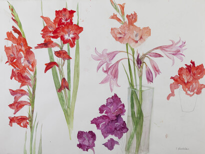 Elizabeth Blackadder, Still Life with Gladioli, watercolour, 57 x 78.5 cm