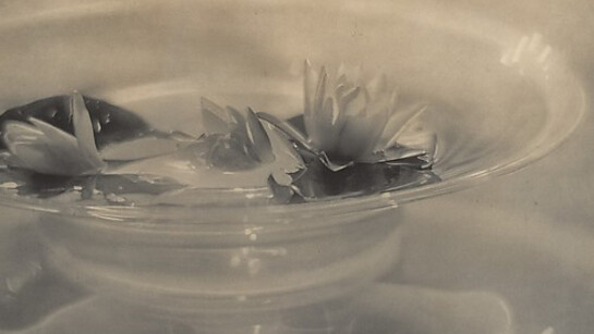 Quicksilver Brilliance. Courtesy of MET 