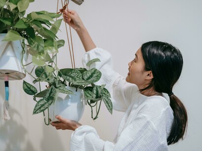 Woman in a white long-sleeve shirt hanging a houseplant, symbolising mental minimalism and the philosophy of simplicity