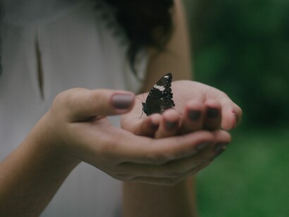 El gatito Trasto considera que dañar o matar a una mariposa no tiene por qué resultar rechazable