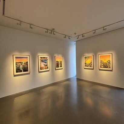 Alexis Bruchon, Wanderings, exhibition view. Courtesy of Philippe Labaune Gallery