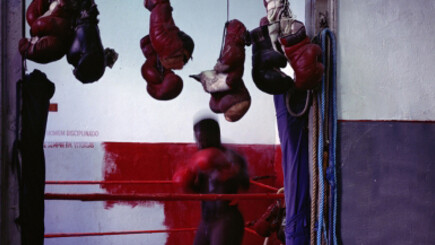 Miguel Rio Branco. Courtesy of Christopher Grimes Gallery