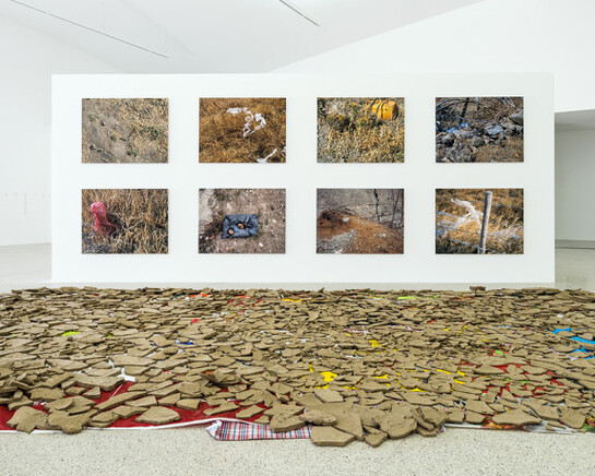 Natural Histories, Exhibition view. Courtesy of Mumok 