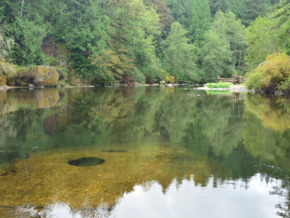 En el corazón tenemos la información del ser, de la esencia divina, que desde la visión metafísica cuántica nos llama a ver la luz en nosotros. Green River en Kanaskat-Palmer State Park, King County, Washington, Estados Unidos