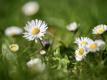Non sembra così facile dar torto a noi stessi