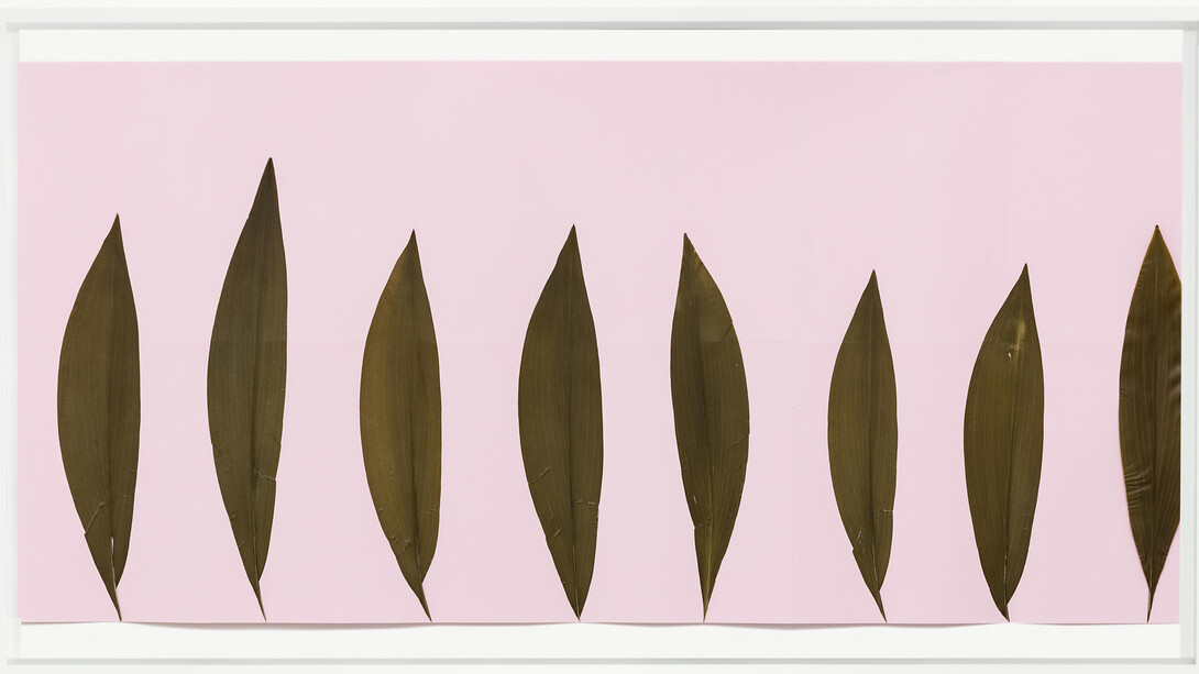 Alek O, Ida, 2017, pressed leaves on paper , 65 (h) x 155 (w) x 5.5 (d) cm each, photo by Andrea Rossetti, courtesy Gallery Frutta, Rome
