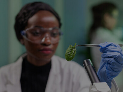 An African American female biochemist researcher examines genetically modified saplings and GMO green plants in a hospital laboratory, advancing microbiology research