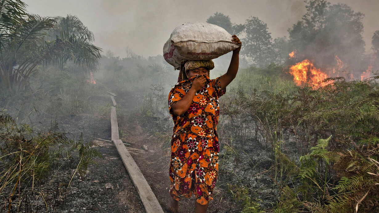 Forest Fires in Indonesia (Source httpblogs.r.ftdata)