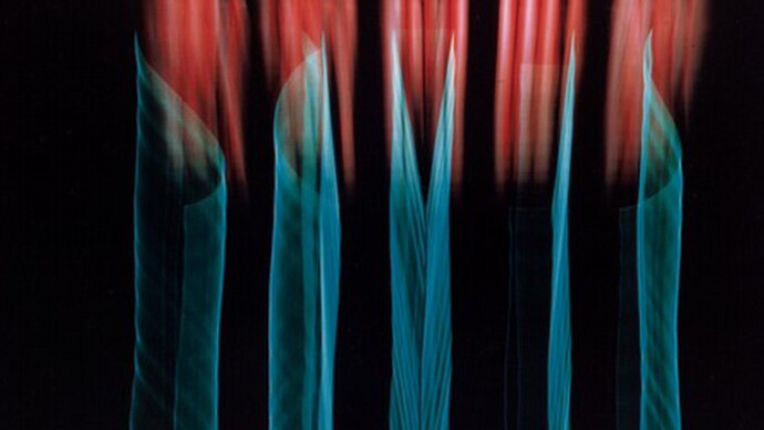 American Art, 1900–1950: Prints, Drawings, and Photographs. Courtesy of The National Gallery of Art