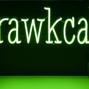 Darren Blackman, Backward, 2025. Courtesy of Onespace Gallery