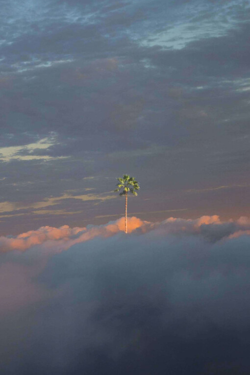 Kang Hee Kim. Courtesy of Benrubi Gallery