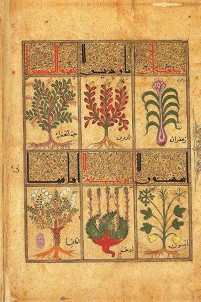 Innenseiten des Kitab al- Diryâq