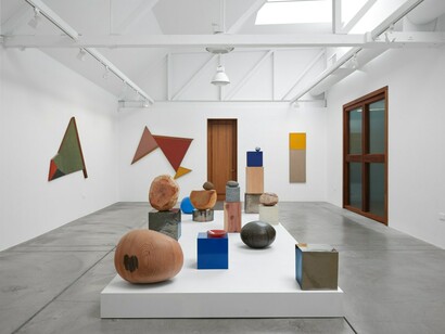 Jesse Schlesinger and Manfredo de Souzanetto, exhibition view. Courtesy of Anthony Meier Fine Arts