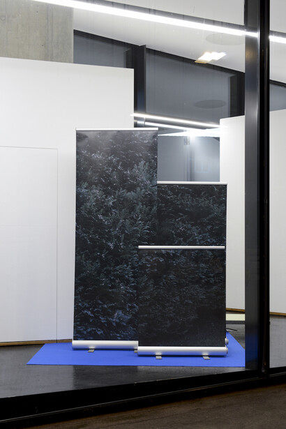 Sylvain Baumann, Plante d’intérieur 1-3, 2016