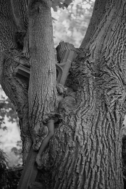 Tereza Zelenkova. Courtesy of The Ravestijn Gallery