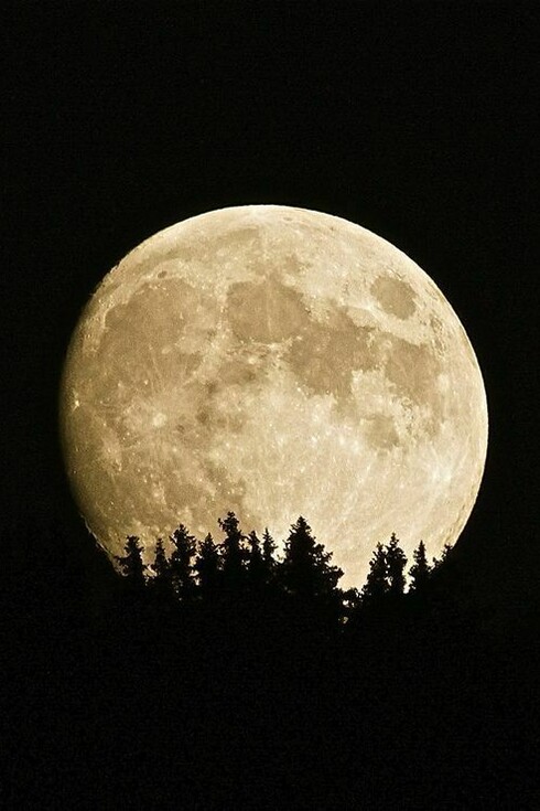 Luna piena