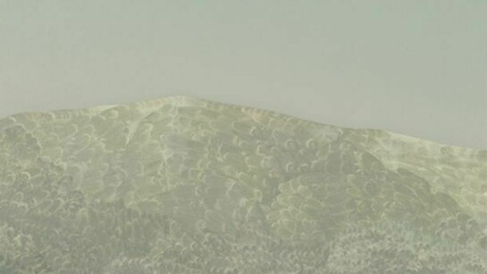 Jake Longstreth, Detail of Particulate Matter #16, 2013, oil on canvas with artist frame, 19 by 15 inches