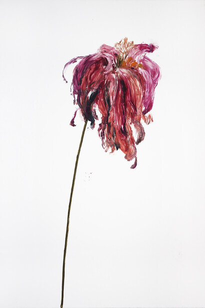 Gaël Davrinche, Memento Mori, 2015 © the artist, courtesy Magda Danysz gallery