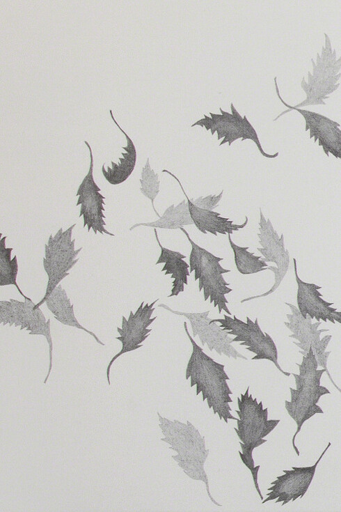 Ou elles volent, ou elles tombent. Courtesy of Buchmann Galerie