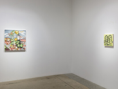 Samantha Rosenwald, Schadenfreude. Installation view. Courtesy of Steve Turner