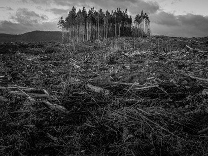 Tasmania, Australia's forests as a result of climate change and industry 