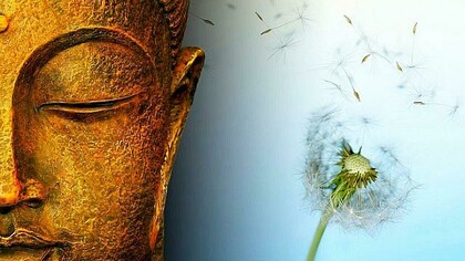 Gautama Buddha and the nature