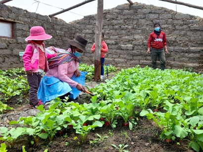 Productores agrícolas del Tambo, Huancavelica, Perú