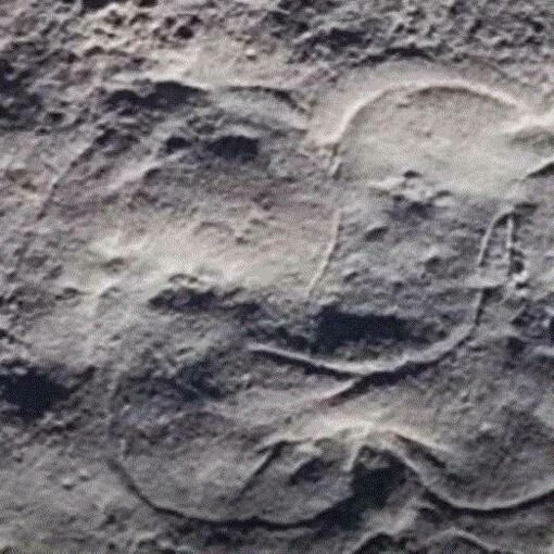 Impronta di Quaestio simpsonorum