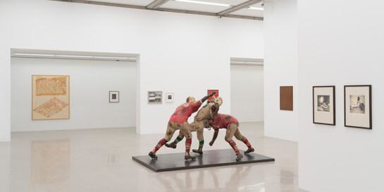 Watching sugar dissolve in a glass of water, Exhibition view. Courtesy of Mumok 