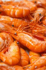Ración de gambas cargadas de quitosano