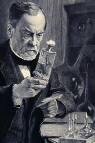 Louis Pasteur. Quelle maladie infectieuse, quel « virus » Pasteur va-t-il s’employer à dompter ?
