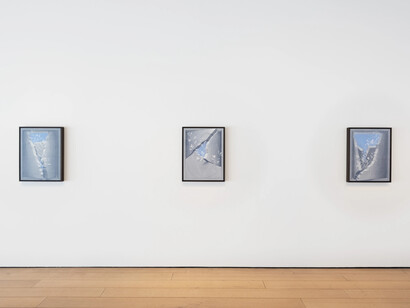 Theodora Allen, Oak, exhibition view. Courtesy of Paul Kasmin Gallery