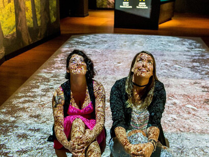 Spiders. From fear to fascination, exhibition view. Courtesy of Witte Museum