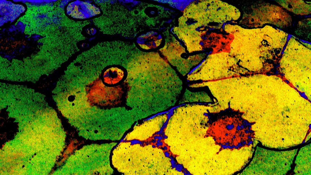 Kleoniki Vanos, Edges Of Time, 500 x 500