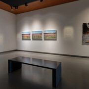 Various artists, Beyond the horizon, exhibition view. Courtesy of the Fries Museum