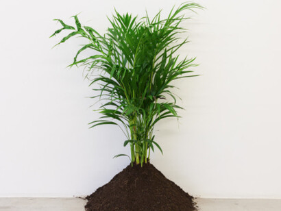 Zip'Up, Exhibition view. Courtesy of Zipper Galeria